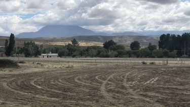 El predio donde se montará el futuro parque solar. Foto: gentileza.