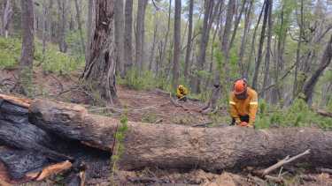 Los rayos ocasionaron los diversos focos de incendio. Foto: Gentileza