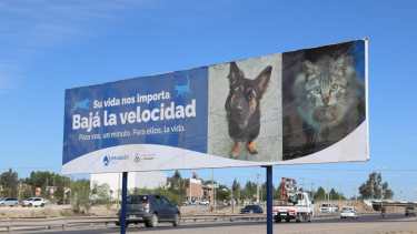El cartel fue colocado al costado de la ruta. Foto: Prensa Municipalidad de Neuquén