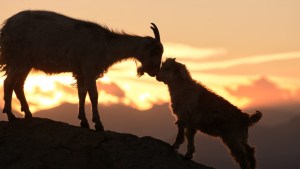 Norte neuquino: viaje a la tierra de los atardeceres inolvidables