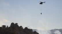 Imagen de Cayó un helicóptero que combatía el incendio en Aluminé: dos muertos
