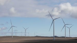 YPF Luz inauguró el parque eólico Los Teros de 175 MW