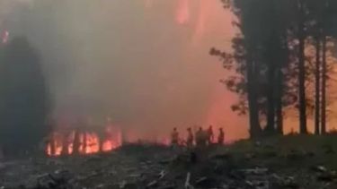 Las llamas no dan respiro a los brigadistas. (FOTOS: Gentileza Aluminé Televisión)