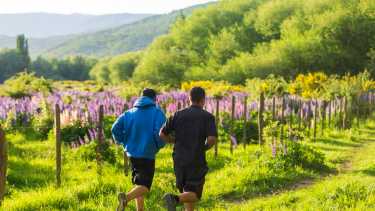 La primavera andina ofrece todos sus encantos, con la floración. Foto: Patricio Rodríguez.-