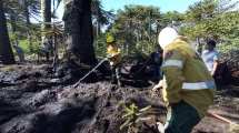 Imagen de Lograron extinguir un incendio forestal en Villa Pehuenia