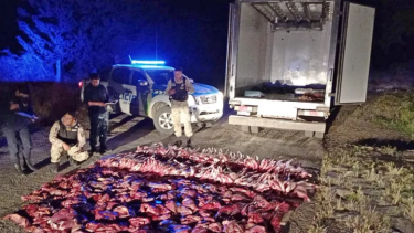 Un camión transportaba en Bariloche más de 800 kilos de carne de distinta especie, sin documentación. Foto: gentileza