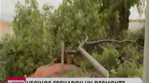 Vecinos frenaron la tala de árboles para hacer un loteo en Terrazas del Neuquén