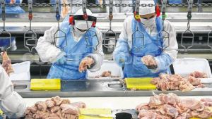 Factores de la recuperación del empleo formal