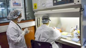 Estudian la transmisibilidad de una nueva versión de Ómicron con otras mutaciones