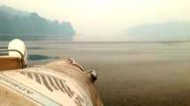 Imagen de El incendio al sur de Bariloche avanzó al lago Steffen y evacuaron a pobladores
