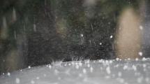 Imagen de Pronóstico: te contamos si siguen las lluvias este miércoles feriado en la región