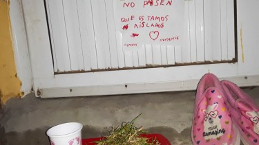 El emotivo mensaje de la niña santiagueña se viralizó en las redes sociales.