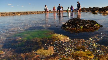 Isla Mejillón, se trata de una gran porción de restinga. Fotos: Martín Brunella.