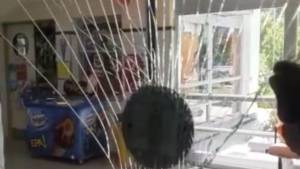 Violento ataque contra la farmacia de un hospital de Neuquén