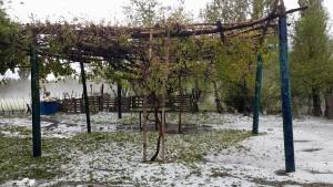 Las tormentas de granizo en el Alto Valle crecieron 30% los últimos diez años