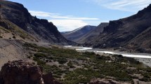 Imagen de Dura advertencia: «El Colorado era un río, hoy es un arroyo»