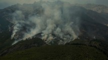 Imagen de Anomalías de temperatura en Argentina: «El centro y norte de Patagonia fueron los más afectados por el calor»