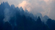 Imagen de Nación declaró la emergencia ígnea en todo el país por un año: cómo impacta en la región