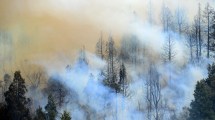 Imagen de El incendio forestal al sur de Bariloche ya destruyó 6.000 hectáreas