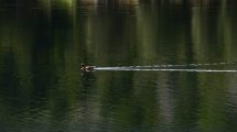 Imagen de Pronóstico: este viernes se mantienen las buenas temperaturas en la región