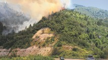 Imagen de Incendio en el sur de Bariloche: ¿estaba contenido?, se reavivó y denuncian negligencias