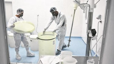 La producción se realizará íntegramente en el laboratorio que funciona en Viedma.  Foto: Marcelo Ochoa.