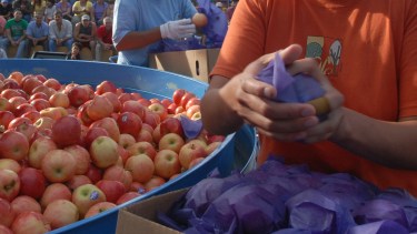 Fiesta de la Manzana 2023: habrá importantes premios y concursos