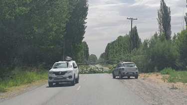 El hecho sucedió ayer por la tarde en calle Lago Nahuel Huapi. Foto gentileza
