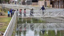 Imagen de Terminó el corte de Olascoaga y se inauguró el puente del arroyo Durán en Neuquén