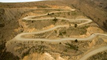 Imagen de En busca del árbol milenario de Neuquén: cómo recorrer la Ruta del Pehuén