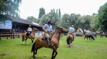 Imagen de Suspenden en Neuquén jineteadas y eventos con caballos por el brote de encefalomielitis
