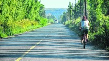 Imagen de Ciclovía Evelyn Alarcón en Regina: abren concurso de precios tras dos licitaciones desiertas