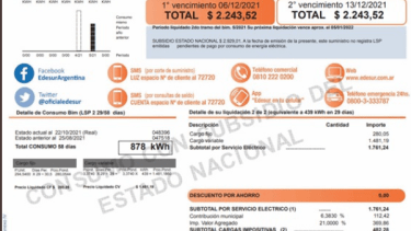 Las empresas que prestan servicio eléctrico en el AMBA tienen subsidios nacionales indirectos, por eso el diputado Domingo plantea más "federalismo". 