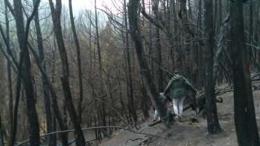 Pobladores de la zona de lago Steffen recorrieron este sábado parte del bosque quemado. (foto gentileza)