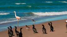 Imagen de La Isla de los Pájaros, un ambiente de belleza natural