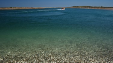 Verano en la Patagonia: de Punta Perdices a Las Grutas, cinco playas imperdibles