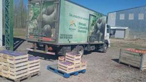Estrategias asociativas en las chacras frutícolas