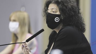 Vizzotti aseguró que en una endemia "la modalidad de vigilancia y de gestión de los casos es distinta".