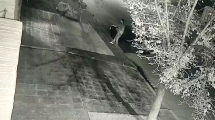 Imagen de Robaron un auto en minutos y una cámara de seguridad lo captó en Roca