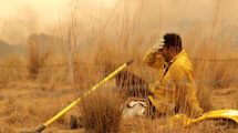 Imagen de Corrientes arde: quién es el bombero que protagonizó la foto viral de los incendios