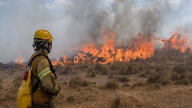 Los bridagistas combaten día y noche el fuego en la provincia de Corrientes. (Foto: Telam)