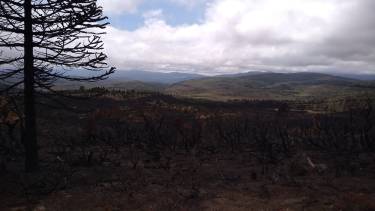 A 47 días del incendio en Aluminé todavía hay puntos calientes