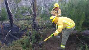 Evitaron que se extienda un incendio forestal en la cordillera de Neuquén