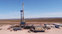 Imagen de Monaldi: «En Texas hay un interés gigantesco por Vaca Muerta»