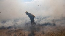 Imagen de El 80% de los incendios fueron extinguidos en Corrientes y se esperan tormentas