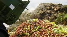 Imagen de Un desperdicio doloroso: el 40% de los alimentos no se consumen
