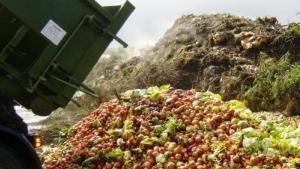 Un desperdicio doloroso: el 40% de los alimentos no se consumen