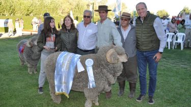 Un gran avance en materia genética se vio en la Expo Rural de Maquinchao. Foto: José Mellado. 