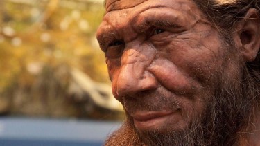 Se descubrió recientemente que los Neardentales se cruzaron con Homo sapiens hace miles de años.
Crédito: Natural History Museum (Reino Unido)