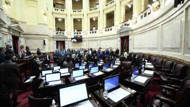 El Senado de la Nación será la segunda cámara del Congreso en debatir el proyecto. 